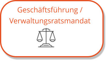 Geschäftsführung / Verwaltungsratsmandat
